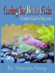 Ebook cover: Caring For Betta Fish