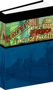 Ebook cover: French Phrase Mini-Ebook