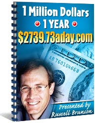 Ebook cover: 1 Million Dollars In 1 Year