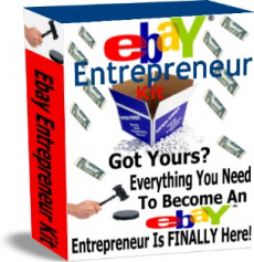 Ebook cover: Ebay Entrepreneur kit