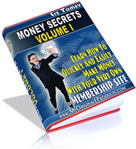 Ebook cover: Money Secrets Volume I