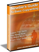 Ebook cover: Newbie's Guide To Basic Copywriting