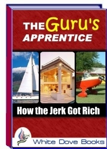 Ebook cover: The Guru's Apprentice