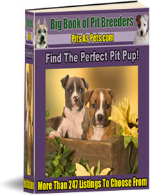 Ebook cover: BIG Book of Pit Breeders