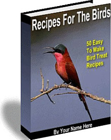 Ebook cover: Recipes For The Birds