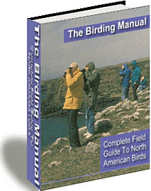Ebook cover: The Birding Manual