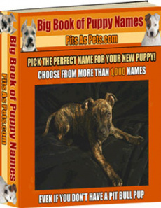 Ebook cover: BIG Book of Puppy Names