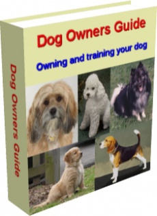 Ebook cover: Dog Owners Guide