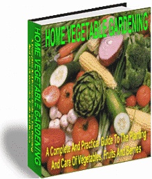 Ebook cover: Home Vegetable Gardening