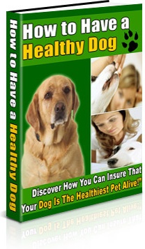 Ebook cover: How To Have A Healthy Dog