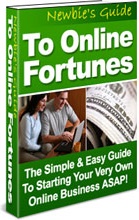 Ebook cover: Newbies Guide To Online Fortunes