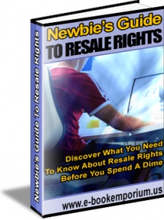 Ebook cover: Newbie's Guide To Resale Rights