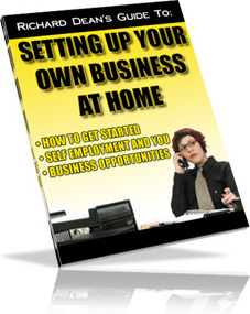 Ebook cover: Setting up your own business at home