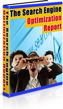 Ebook cover: The Search Engine Optimization Report