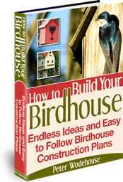 Ebook cover: How to Build Your Birdhouse