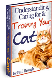Ebook cover: Understanding, Caring For And Training Your Cat