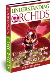 Ebook cover: Understanding Orchids