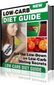 Ebook cover: The Low-Carb Diet Guide