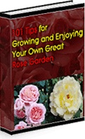 Ebook cover: 101 Tips For Growing And Enjoying Your Own Great Roses!