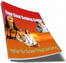 Ebook cover: Your Guide To Setting Goals Successfully!