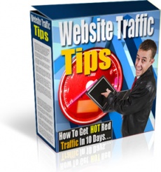 Ebook cover: Website Traffic Tips IN 10 DAYS!