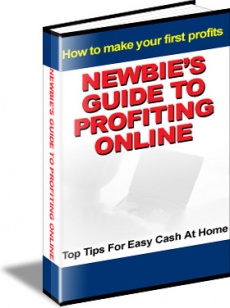 Ebook cover: The Newbie's Guide To Profiting Online