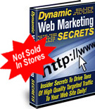 Ebook cover: Dynamic Web Marketing Secrets