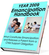 Ebook cover: Emancipation Handbook