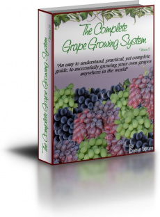 Ebook cover: The Complete Grape Growers Guide
