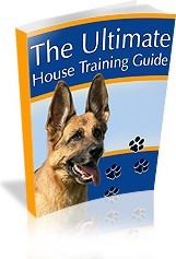 Ebook cover: House Training your Dog