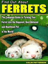 Ebook cover: Find Out About Ferrets