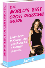Ebook cover: World's Best Cross Dressing Guide