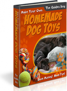 Ebook cover: HomeMade Dog Toys