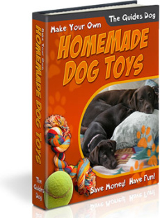 Ebook cover: HomeMade Dog Toys