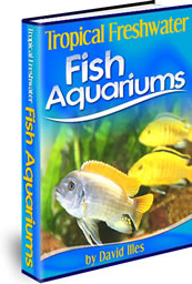 Ebook cover: Tropical Freshwater Fish Aquariums