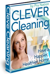 Ebook cover: Clever Cleaning