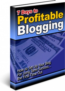 Ebook cover: 7 Days to Profitable Blogging
