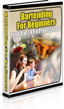 Ebook cover: Bartending for Beginners