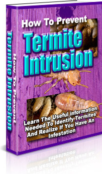 Ebook cover: How To Prevent Termite Intrusion