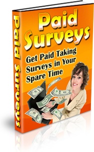 Ebook cover: Paid Surveys