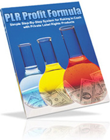 Ebook cover: PLR Profit Formula