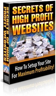 Ebook cover: The Secrets to High Profit Websites
