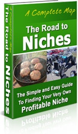 Ebook cover: The Road to Niches