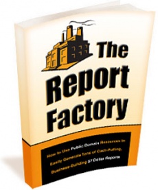 Ebook cover: The Report Factory