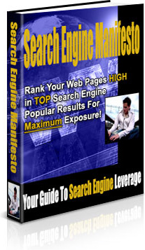 Ebook cover: Search Engine Manifesto