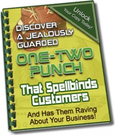 Ebook cover: The One-Two Punch That Will Have Your Customers Raving!
