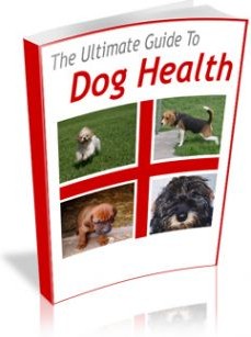 Ebook cover: The Ultimate Guide to Dog Health!