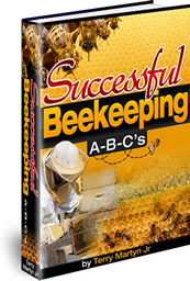Ebook cover: Successful Beekeeping A-B-C's