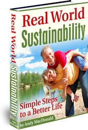 Ebook cover: Real World Sustainability