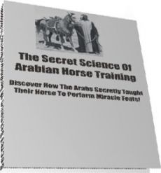 Ebook cover: Arabian Horse Training